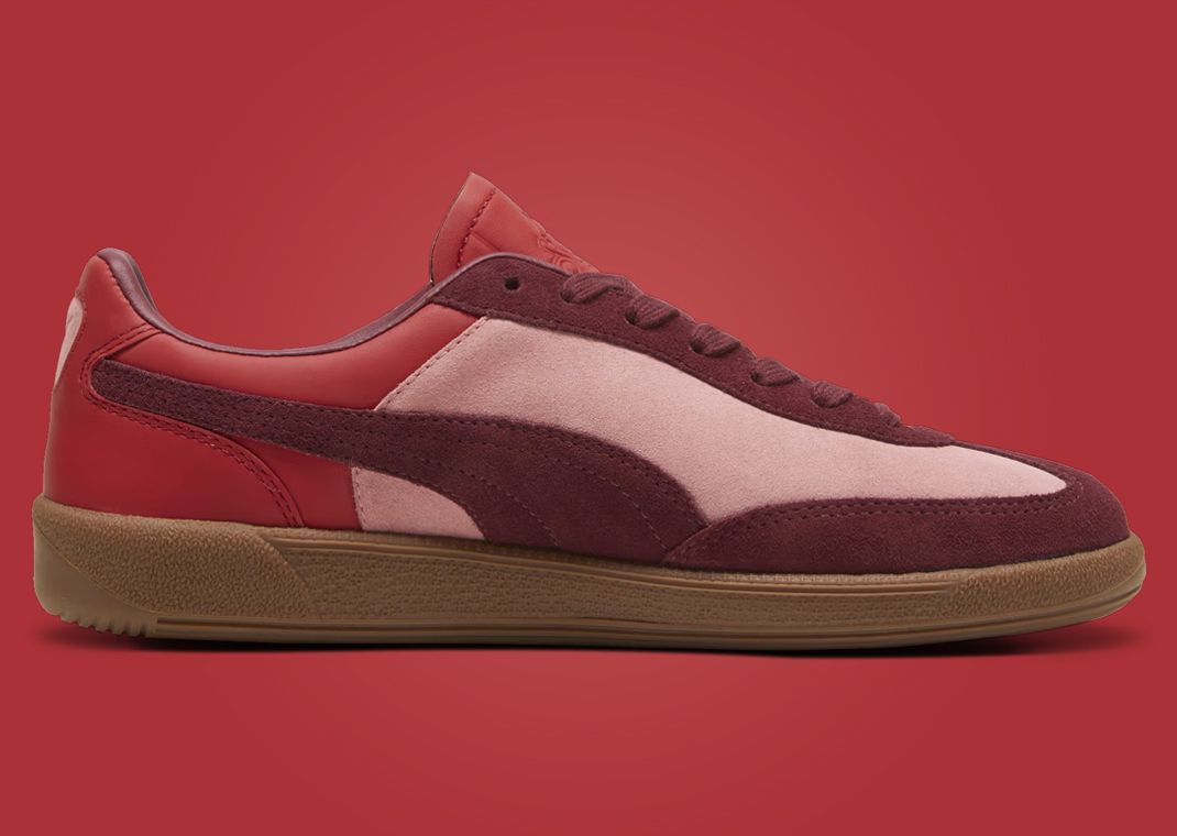 Palomo x Puma Palermo Medial