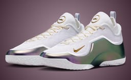 New Images of the LeBron 23 Elite For The Record Show 38,388 Reasons to Love this Pair