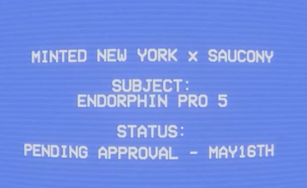 Minted NY x Saucony Endorphin Pro 5 Teaser