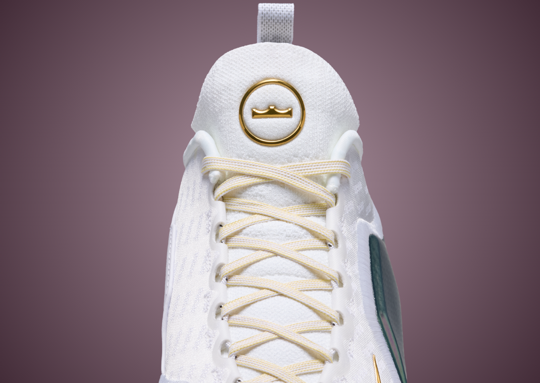 Nike LeBron 23 Elite For The Record - Detail