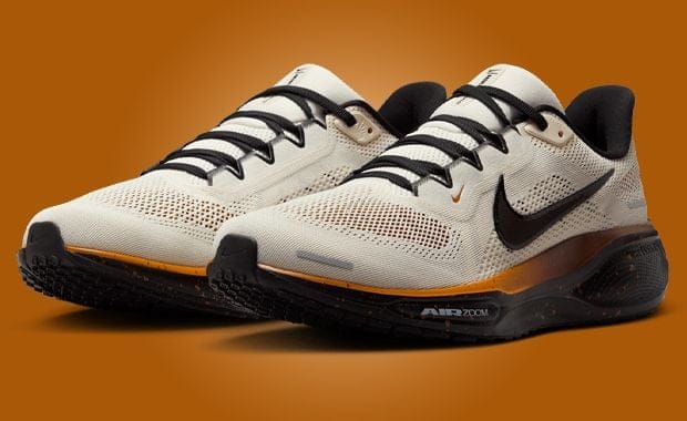 The Nike Pegasus 41 Coffee Bean Releases Fall 2025