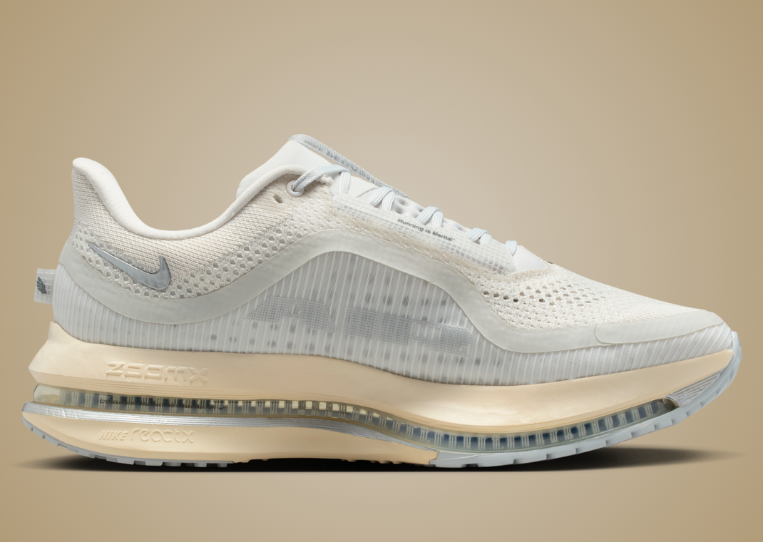 Nike Pegasus Premium Running is Mental - Medial
