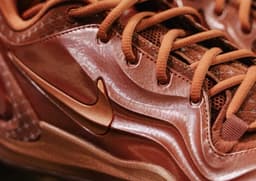 Playa Society x Nike A’Two Dark Russet