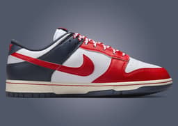 Nike Dunk Low Rivarly Boston Red Sox Medial