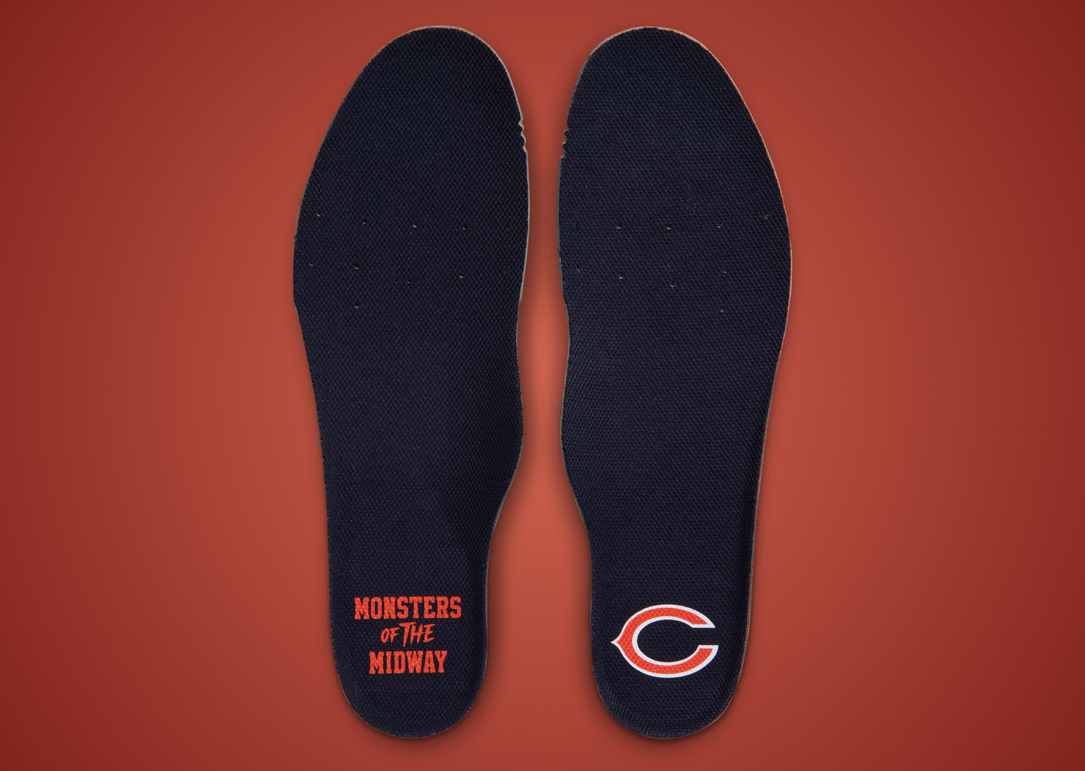NFL x Nike Air Max 90 Bears Insole
