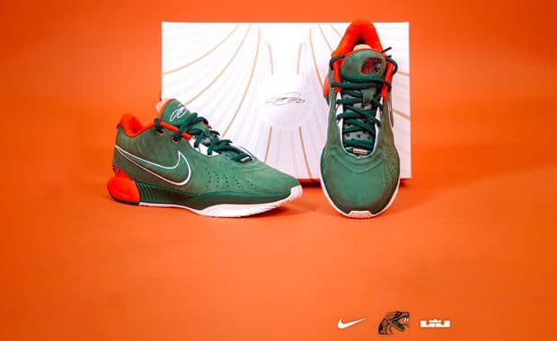 Nike LeBron 21 FAMU PE