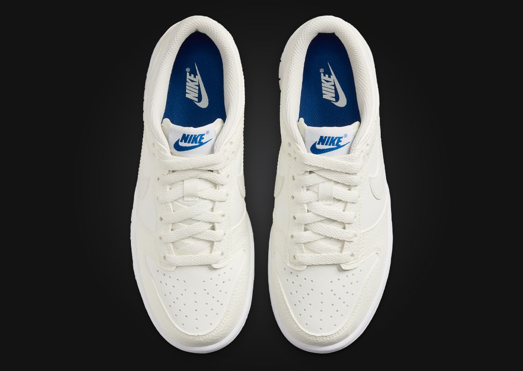 Nike Dunk Low SE Back To School Sail (GS) Top