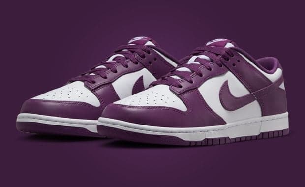 Nike Dunk Low Viotech