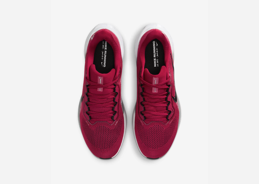 NCAA x Nike Pegasus 41 University of Alabama Overhead View