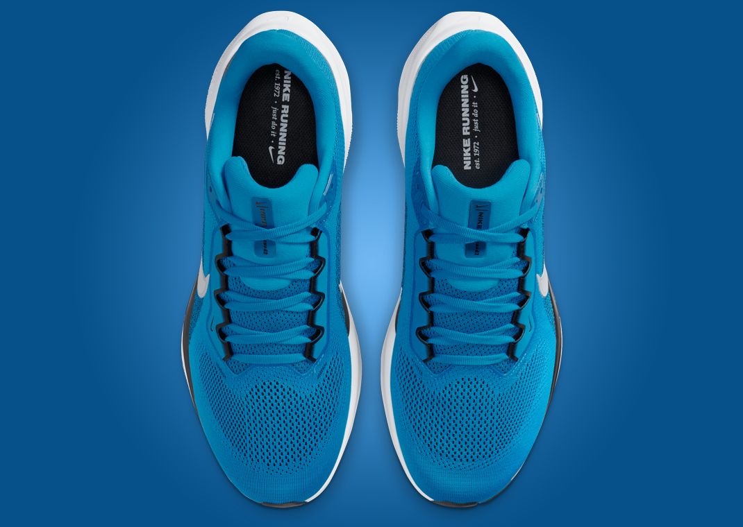 NFL x Nike Pegasus 41 Carolina Panthers Top