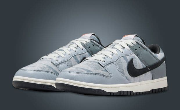 Copy and Paste With These Nike Dunk Lows