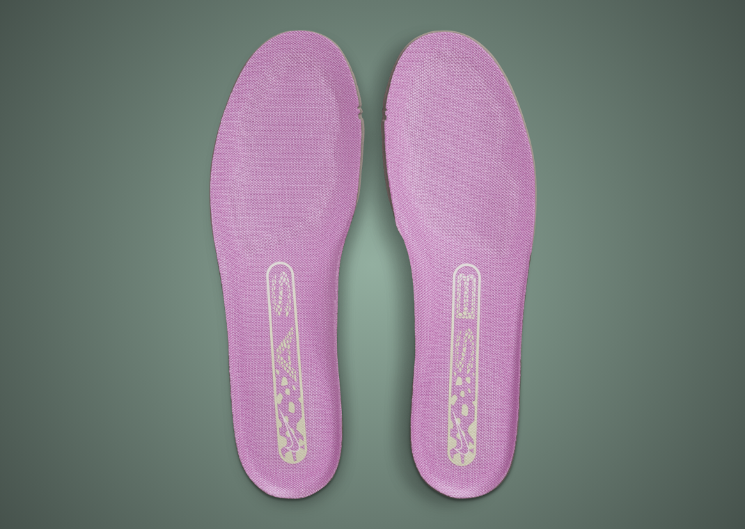 Alexis Sablone x Nike SB Dunk Low Insole
