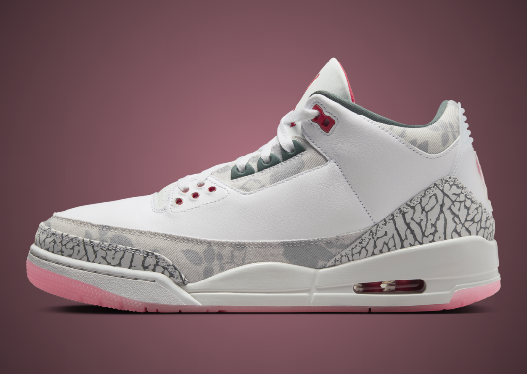 Air Jordan 3 Retro Wings Lateral