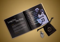 Nike LeBron 23 Elite Hurt Feelings Write History