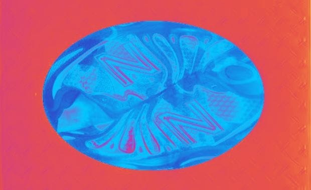 SOLE CALIBER: Letters from the Editor 005
