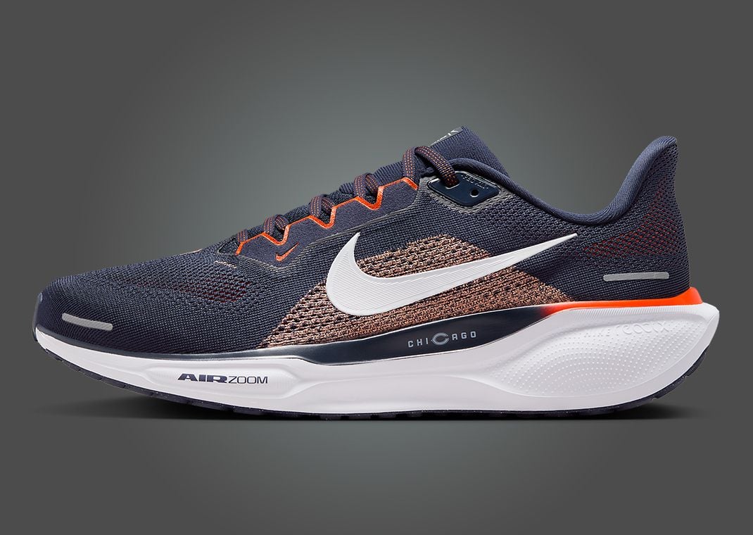 Nike Zoom Pegasus 41 Bears