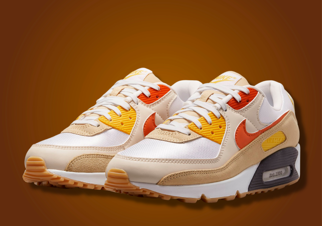 Nike Air Max 90 Barometer