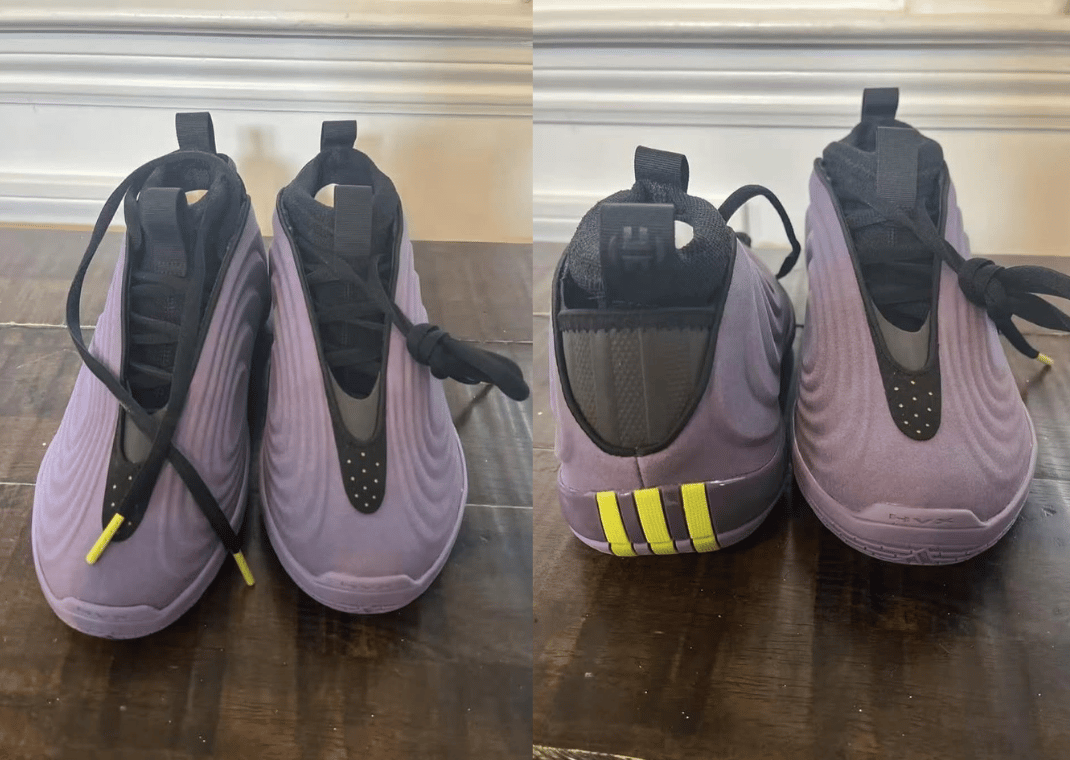 adidas Harden Vol. 10 Purple
