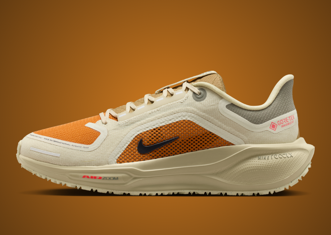 Nike Pegasus 41 Gore-Tex Running Poets - Lateral