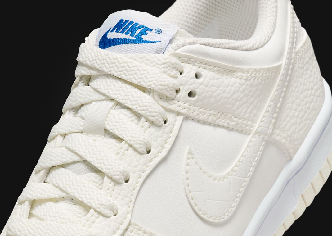 Nike Dunk Low SE Back To School Sail (GS) Tongue