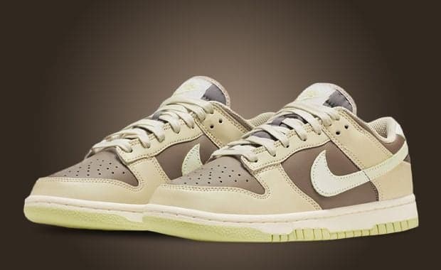 Nike's Dunk Low Velcro Tabs Has A Trick Up Its Sleeve
