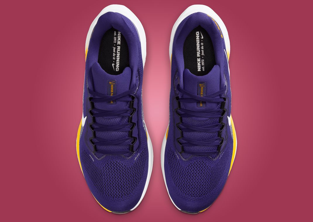 NCAA x Nike Pegasus 41 LSU Top