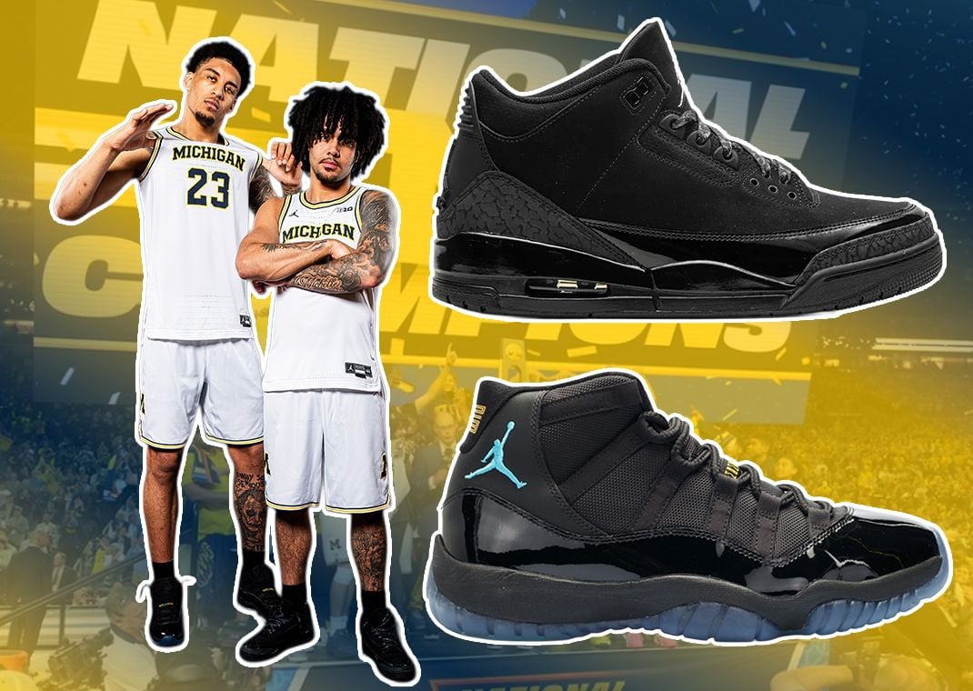 Air Jordan 3 Black Cat and Air Jordan 11 Gamma Blue