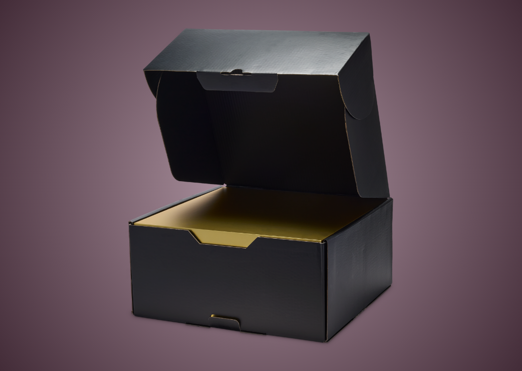 Nike LeBron 23 Elite For The Record - Box