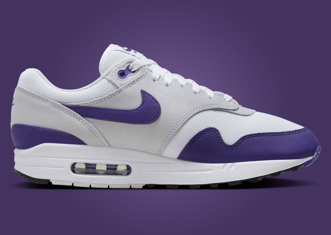 Nike Air Max 1 Field Purple Medial