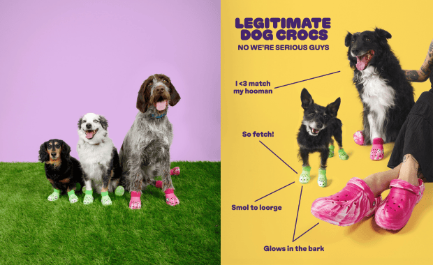 Crocs is Launching Pet Crocs for Dogs