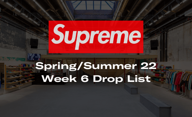 Supreme Spring Summer 2022 Week 6 - Aeon Flux