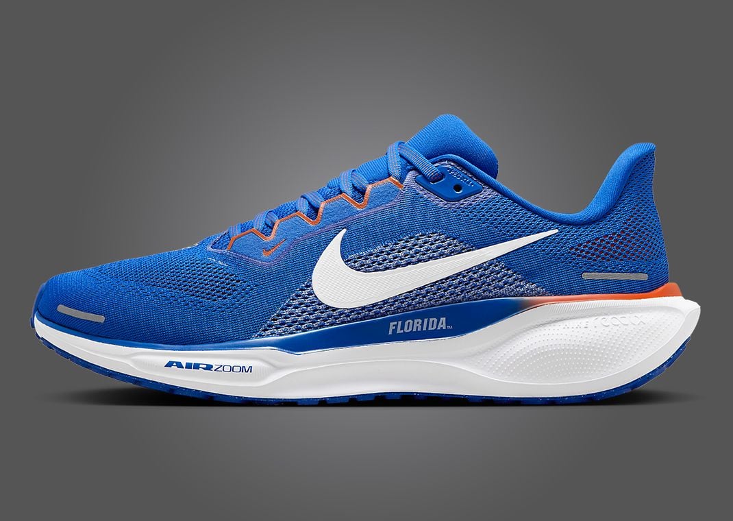 Nike Zoom Pegasus 41 Florida