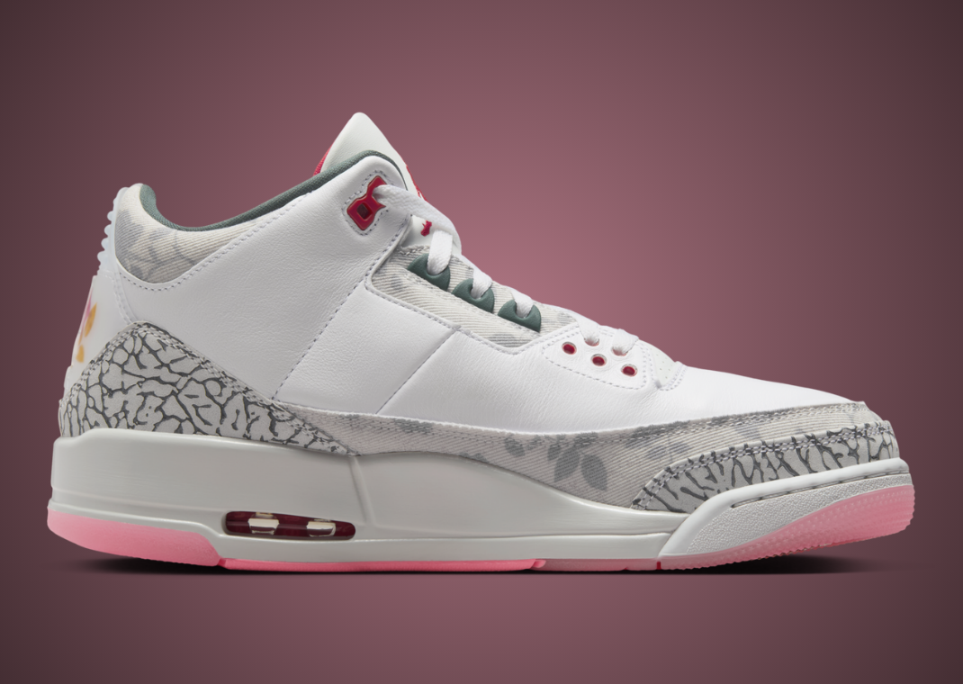 Air Jordan 3 Retro Wings Medial