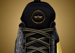 Nike LeBron 23 Elite Hurt Feelings Write History - Detail