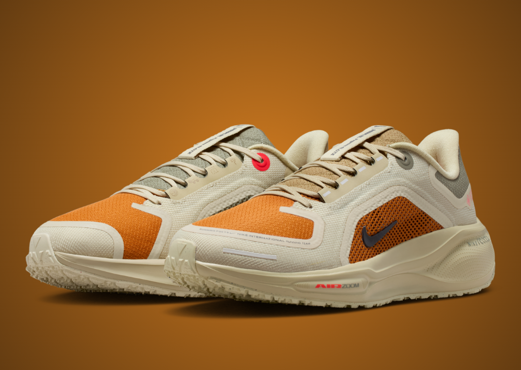 Nike Pegasus 41 Gore-Tex Running Poets - Angle