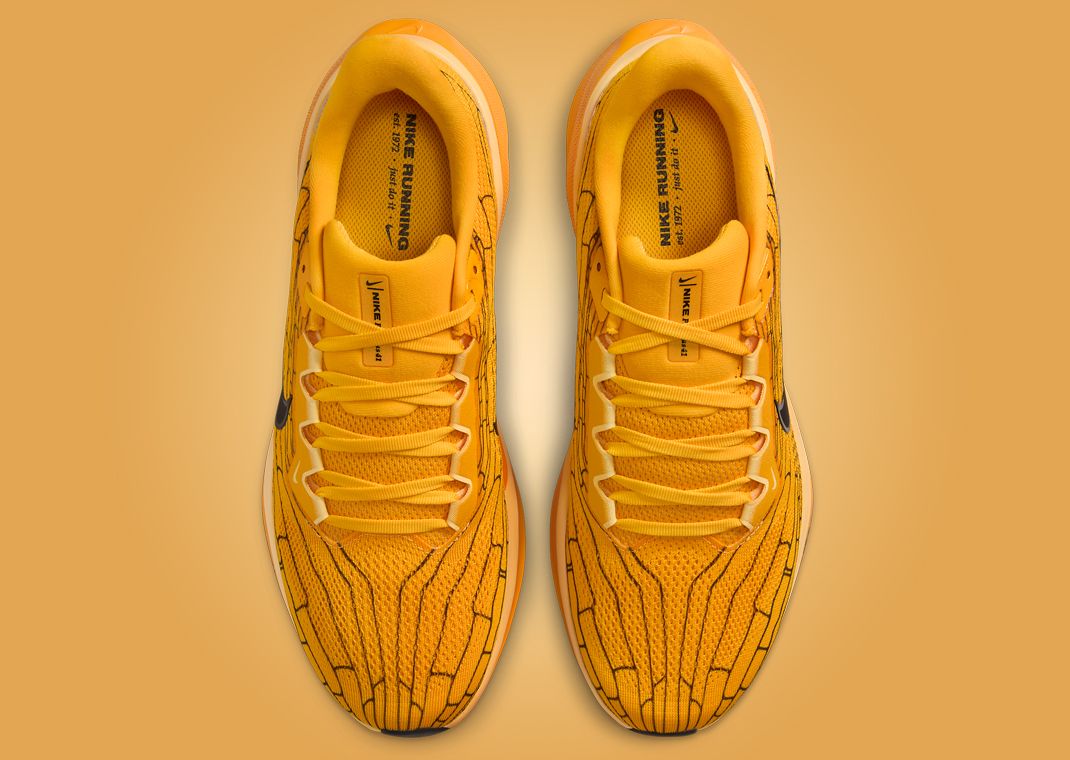 Nike Zoom Pegasus 41 Modern Mayfly Top