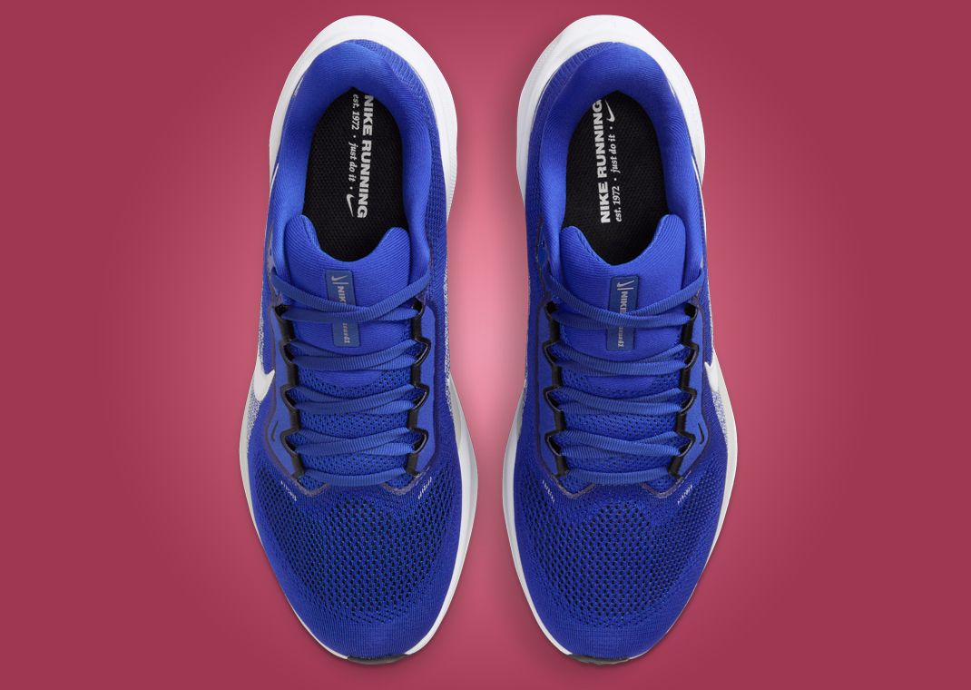 NCAA x Nike Pegasus 41 Kentucky Top