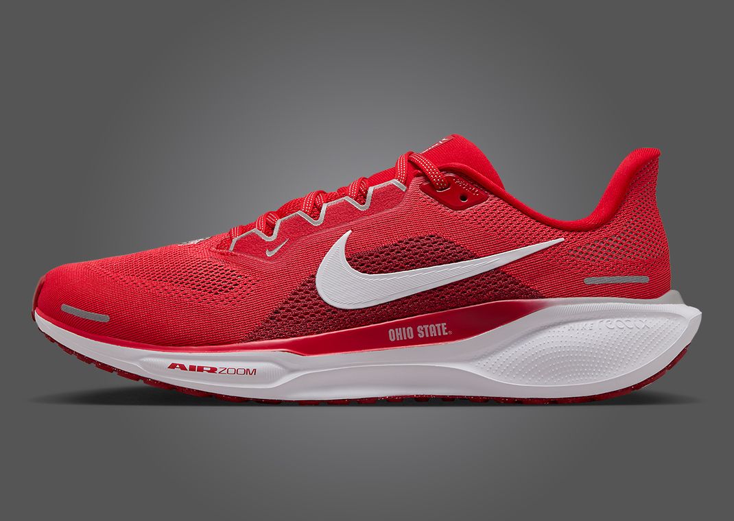 Nike Zoom Pegasus 41 Ohio State