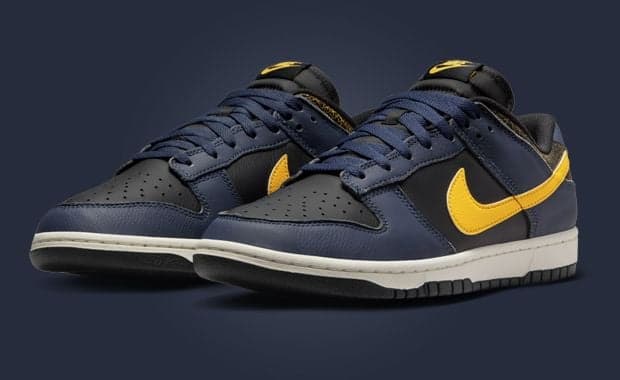 Nike Dunk Low Black Michigan Angle