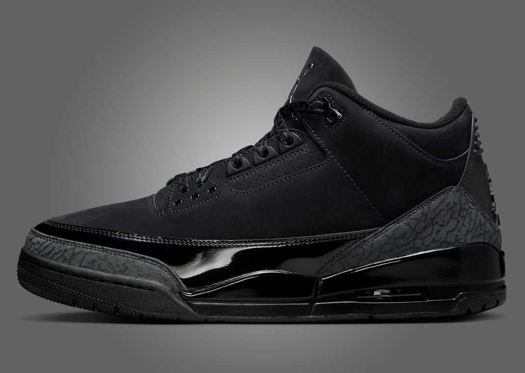 Air Jordan 3 Black Cat