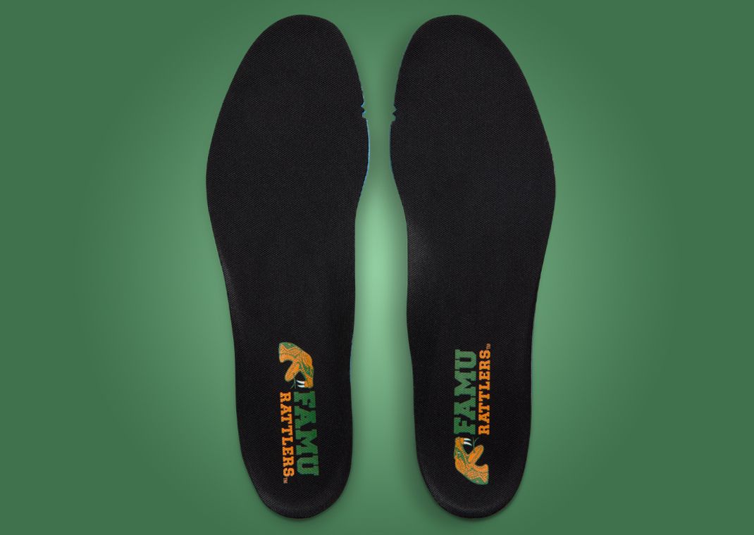 FAMU x Nike Air Max 95 Insole