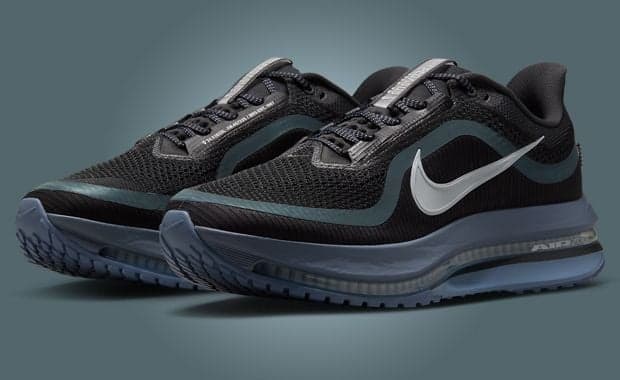 Nike Pegasus Premium Anthracite