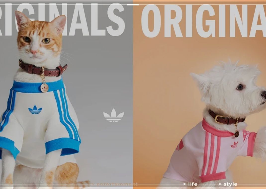 adidas Originals Pet Collection
