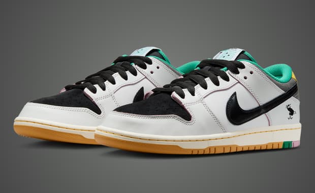 College Skateboarding Educational Foundation x Nike SB Dunk Low