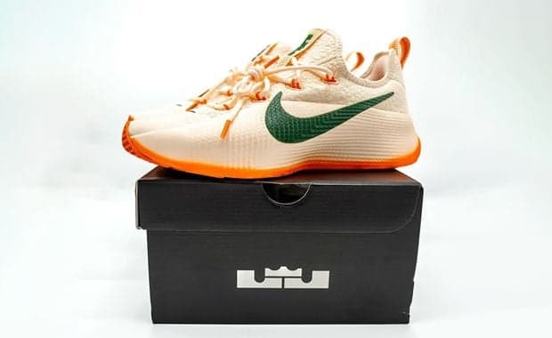 Nike LeBron TR 1 FAMU