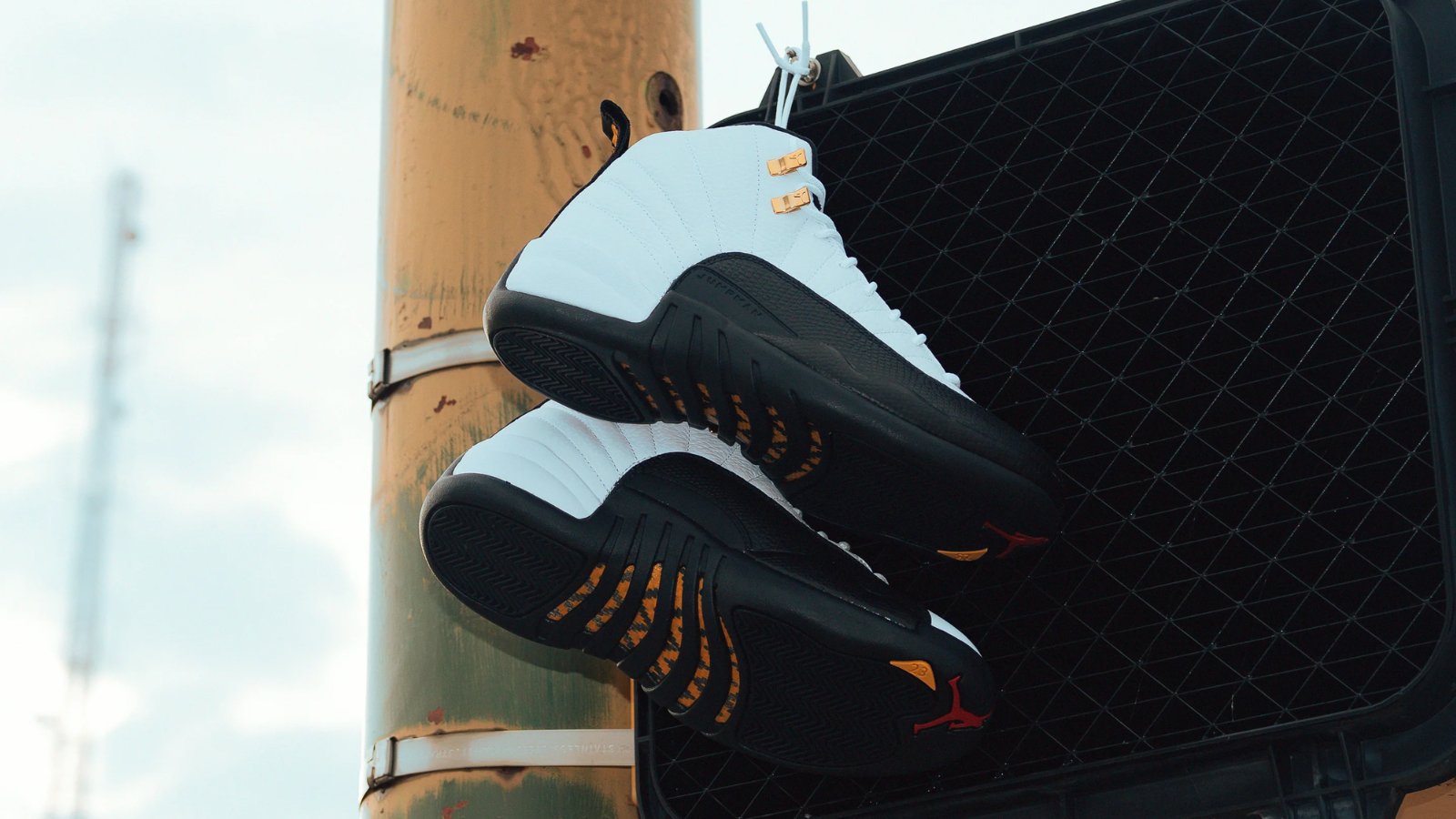 Where to Buy the Air Jordan 12 Retro Taxi