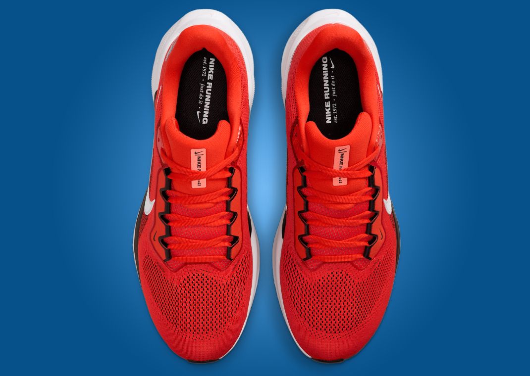 NFL x Nike Pegasus 41 Cleveland Browns Top