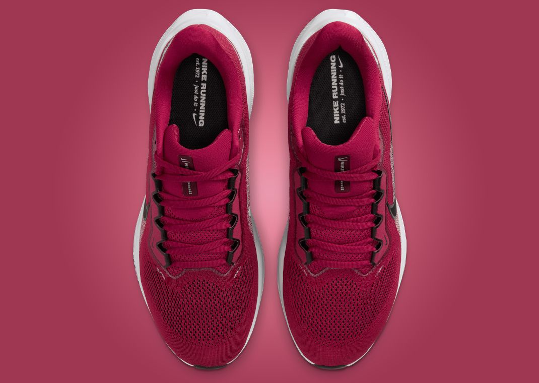 NCAA x Nike Pegasus 41 Arkansas Top