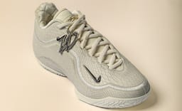 Philadelphia 76er LeBron James Joins the White Label Collection with Nike LeBron 23