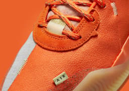 Nike Air Deldon WNBA Hoodie Toe